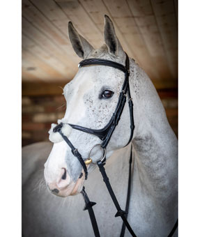 LeMieux Grackle Bridle Black