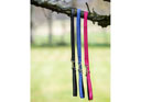 LeMieux Henley Bungee Dog Lead Bluebell