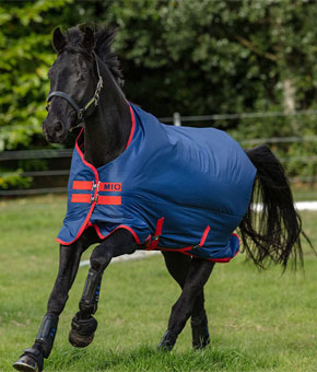 Horseware Mio Standard Neck Turnout Medium Dark Blue and Red