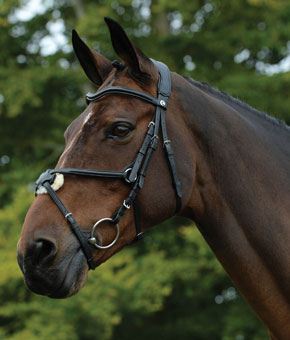 Collegiate ComFiTec Grackle Bridle Black