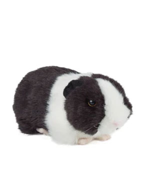 Living Nature Black Guinea Pig with Sound