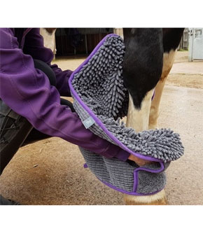 Henry Wag Equine Noodle Glove Towel