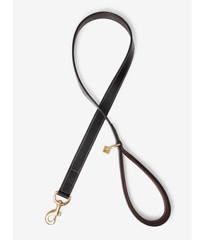 LeMieux Windsor Dog Lead Chocolate/Brown