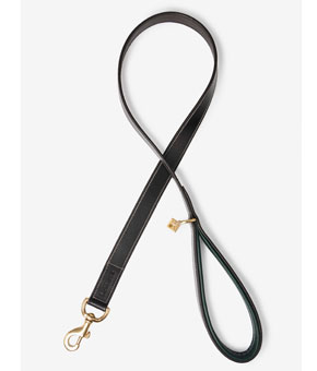 LeMieux Windsor Dog Lead Hunter Green/Brown