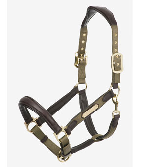 LeMieux Capella Headcollar - Forest