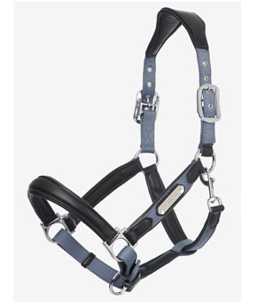 LeMieux Capella Headcollar - Jay Blue