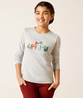 Ariat Winter Fashion Tee - Heather Grey