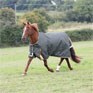 Shires Highlander Plus 50 Turnout Rug - Green