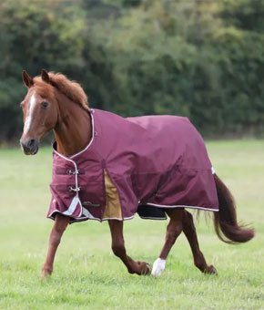 Shires Highlander Plus 100 Turnout Rug Maroon