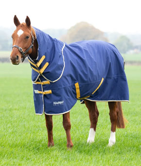 Shires Tempest 50g Turnout Rug & Neck Set Navy