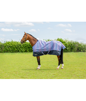 StormX Dorris Dachshund 0g Turnout Rug