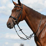 Collegiate Syntovia Plain Running Martingale Black