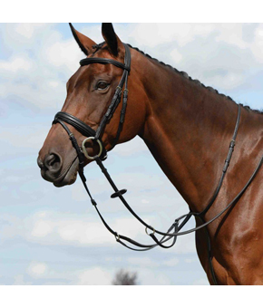 Collegiate Syntovia Plain Running Martingale Black