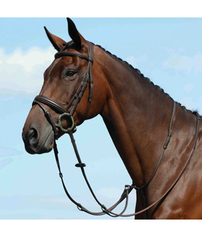 Collegiate Syntovia Plain Running Martingale Brown