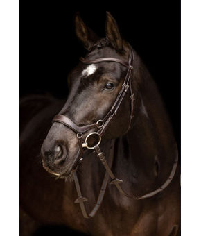 LeMieux Arika Drop Noseband Bridle Brown