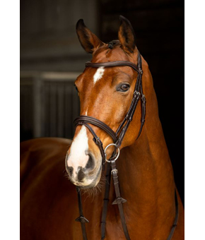 LeMieux Arika Flash Noseband Bridle Brown