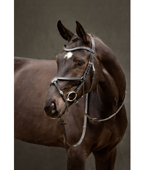 LeMieux Arika Grackle Bridle Black