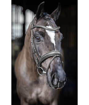 LeMieux Arika Dressage Bridle Black