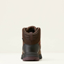 Ariat Skyline Mid Waterproof Chocolate Brown