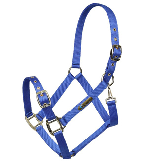 Shires ARMA Adjustable Headcollar - Blue