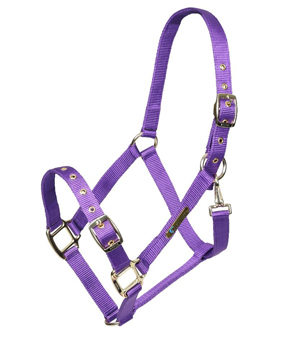 Shires ARMA Adjustable Headcollar - Purple