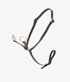 LeMieux Toy Pony Martingale - Brown