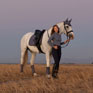 LeMieux Suede Dressage Square - Jay Blue