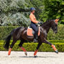 LeMieux Suede Dressage Square - Apricot