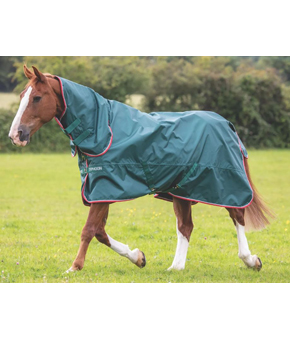 Shires Typhoon Lite Combo Turnout Rug - Green