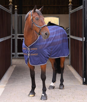 Shires Tempest Original Scrim Cooler Rug - Navy