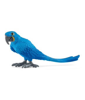 Schliech Hyacinth Macaw