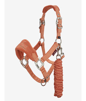 LeMieux Mini Vouge Headcollar and Leadrope - Fern