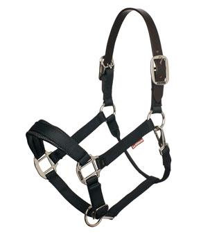 LeMieux Break Away Headcollar - Black