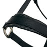 LeMieux Break Away Headcollar - Black