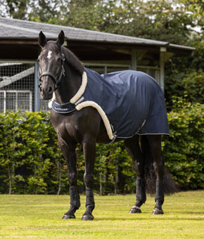 LeMieux Walker Rug - Navy