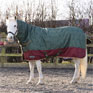 StormX Original 200 Combi Turnout Rug - Devine Deer