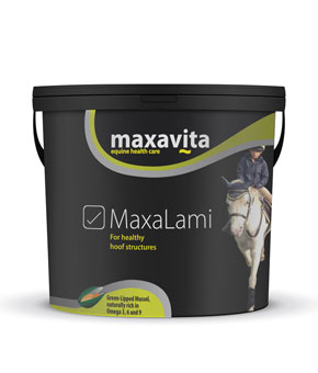 Maxavita MaxaLami