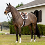 LeMieux Merino Plus Hunter Saddle Pad - White/White