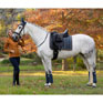 LeMieux Classic Dressage Square - Petrol