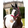 LeMieux Logo Headcollar - Ember