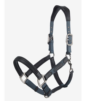 LeMieux Capella Headcollar - Petrol