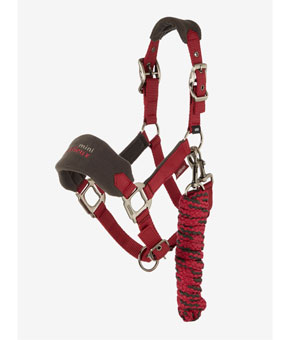 LeMieux Mini Vouge Headcollar - Ember