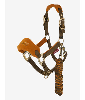 LeMieux Mini Vogue Headcollar - Alpine