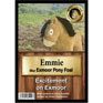 Crafty Pony My New Baby Foal Collection - Emmie Exmoor