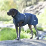 Weatherbeeta Explorer Medium Dog Coat