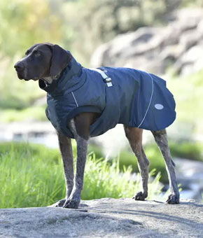 Weatherbeeta Explorer Medium Dog Coat