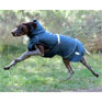 Weatherbeeta Explorer Medium Dog Coat