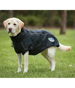 Weatherbeeta ComFiTec Reflective Print Active Dog Coat