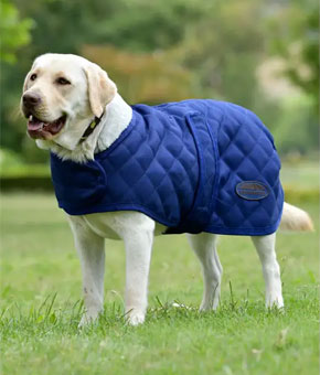 Weatherbeeta ComFiTec Deluxe Diamond Quilt Dog Coat