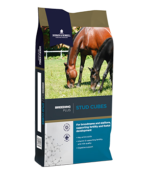 Dodson & Horrell Stud Cubes